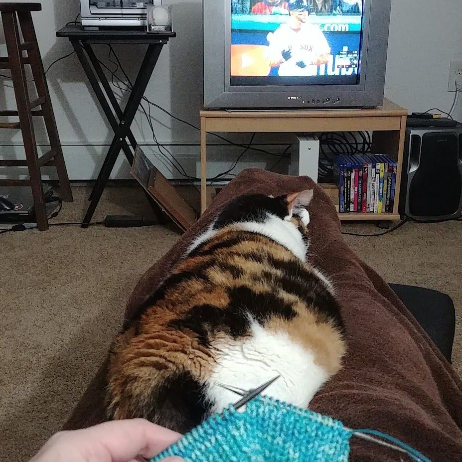 Moxie the calico cat rests on a fuzzy brown blanket while her human watches the Boston Red Sox on the same old silver CRT TV while they knit something made out of aqua-colored yarn