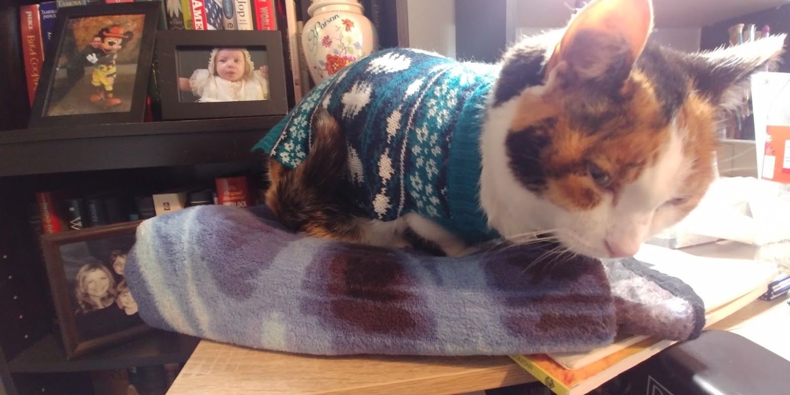 Moxie the calico cat wears a teal, navy, and white sweater with trees and snowflakes. She is resting on a blue patterned fleece blanket on the corner of someone's desk, watching them work