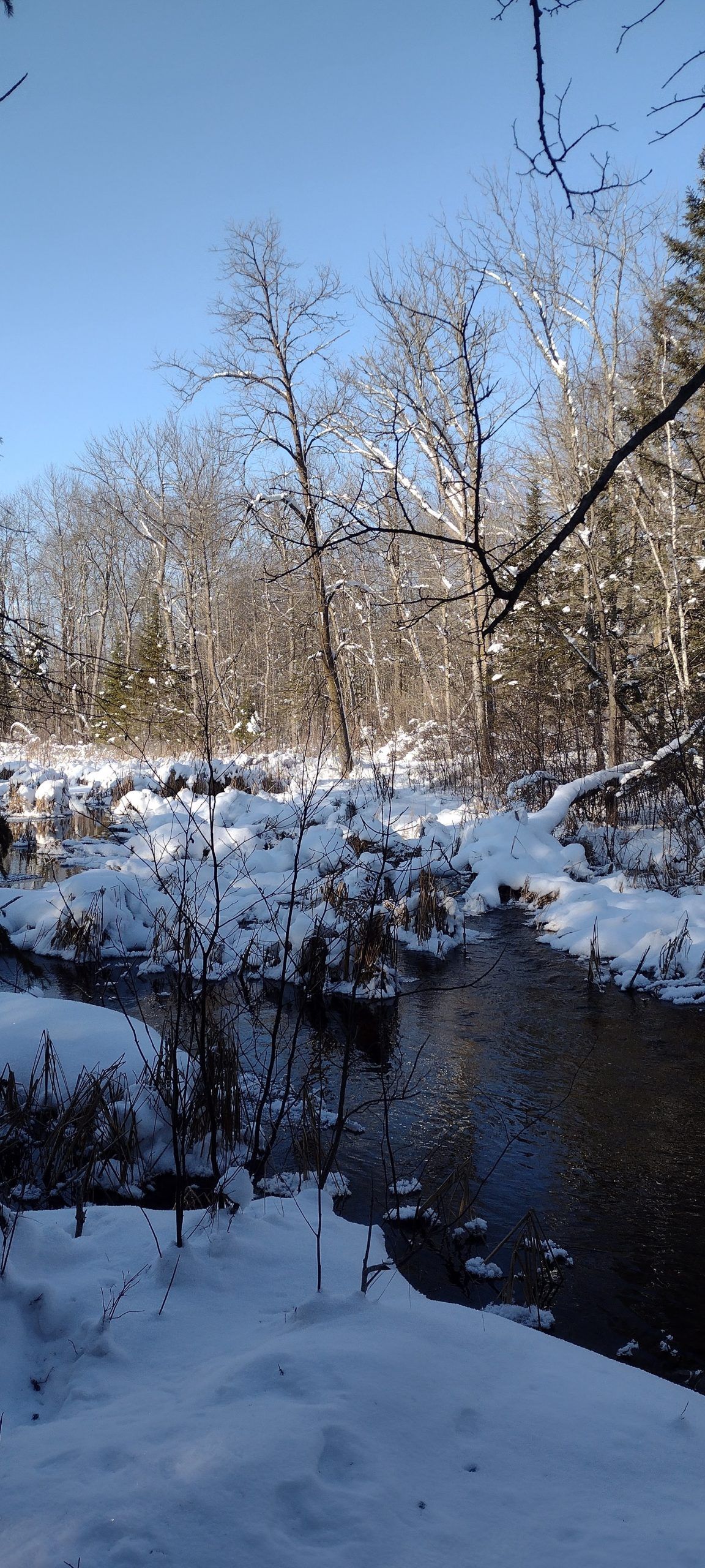 A still photo of the turtle river with running water.