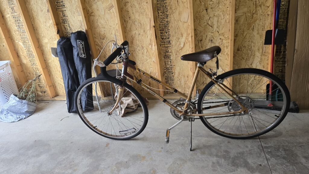 a bronze-colored bicycle leans on its kickstand next to a basic garage wall