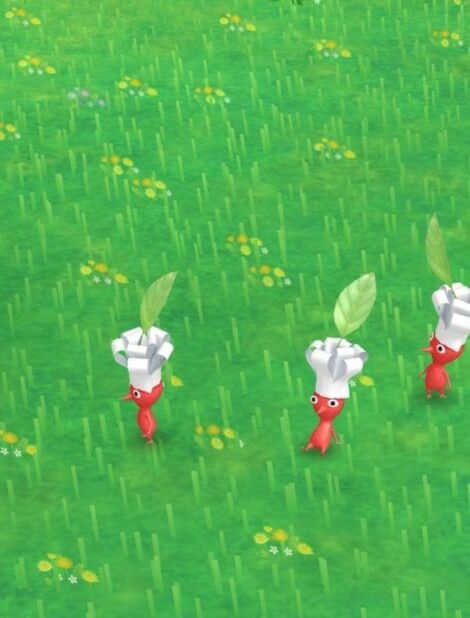 Three red Pikmin in chef hats on a grassy background 